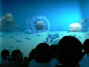 世界初「360度全周囲超立方体映像」新アトラクション－志摩スペイン村に
