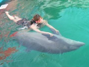 「イルカの体は長靴？」－二見シーパラダイス夏休み企画「イルカと泳ごう」