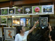 伊勢志摩地方に残る絶滅危惧・希少植物を知ってもらおうと、伊勢で写真展