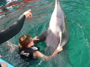 イルカと泳いだりダンスができる夏休み特別企画－二見シーパラダイスで募集