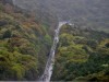 強風でコース変更「志摩ロードパーティ」雨の中走る選手たち