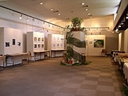 石垣在住の作家5人が作品展－「八重山の自然」テーマに