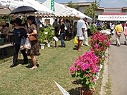 恒例「八重農市」盛況－地元高校生が手作りパンや野菜など即売