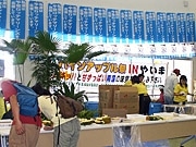 離島ターミナルでパインの試食イベント－観光客らにアピール