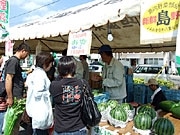 石垣でJAまつり－「島をまるかじり」テーマに多彩なイベント