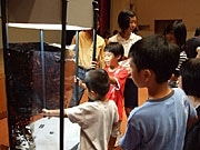 石垣で恒例「親と子のお天気教室」－クイズや実験通じ防災学ぶ
