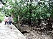八重山の家並み再現「石垣やいま村」開村－八重山民俗園が改装で