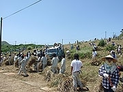 全校生徒446人で「草刈り大会」－八重山農林高校、伝統行事で