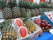 石垣島の夏の味覚を全国へ－パイン・マンゴー・ドラゴンフルーツゆうパック初荷式
