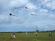 日本各地の凧が石垣島の空に－2009年石垣島凧あげ交流会
