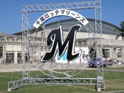 千葉ロッテマリーンズ石垣島協力会、春季キャンプ支援へ今年も始動