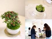 自由が丘南口に盆栽技術を応用したミニグリーンアレンジメント教室