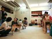 駒沢で犬と猫の里親譲渡会－NPO法人「東京アーク」が開催