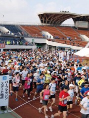 「世田谷246ハーフマラソン」、駒沢公園を起点・会場に11月開催へ