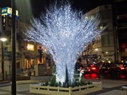 自由が丘駅前でクリスマスイルミ点灯式－太陽光発電・廃油も活用