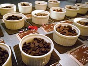 自由が丘の製菓材料店で「チョコレートコレクション」－99種を無料試食