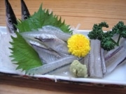 「花見魚」サヨリは4月が食べごろ－金沢で旬を迎えた海の幸