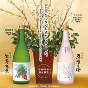正月に咲く花を楽しみながら地酒を－生花店と酒蔵が限定コラボギフト