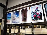 金沢の禅寺本堂で写真家・桝野正博さん写真展－たて琴演奏も
