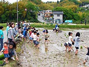金沢の体験学習農園で田植え－800坪の休耕田、3世代交流の場目指す