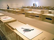写真家・織作峰子さんが金沢で凱旋展－郷土に思い込め「雪の世界」を表現