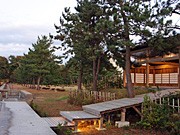マツ植林で未来の観光地づくり－能登でキャンペーン、参加者募る