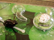 カエル型フィギュアライト、金沢のギャラリーショップで展示・販売