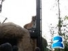 いしかわ動物園でナイトズー