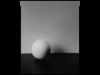 8×10の名機で撮り下ろし－暗室仕上げの空気感伝える写真展