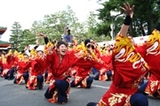 京都学生祭典「全国おどりコンテスト」参加者募集－賞金総額100万円