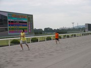 JRA京都競馬場で恒例「大運動会」開催へ－ダートコースでリレー競争