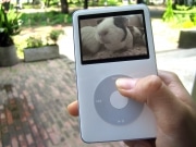 井の頭自然文化園、「iPod」効果でGWの入場者数アップ