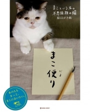 ブログ、書籍で話題の猫「まこ」の新刊、発売決定