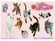 セガ、吉祥寺の猫カフェ「きゃりこ」とコラボ空間－「夢ねこDS」発売で