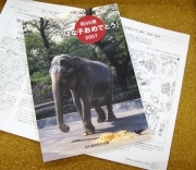 井の頭自然文化園でアジアゾウ「はな子」の60歳記念誌配布