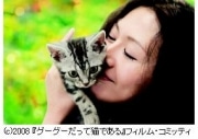 吉祥寺で携帯スタンプラリー－小泉今日子さん主演映画とコラボ