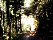 高円寺のオーガニックショップが「高尾山、初詣ツアー」企画