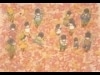 吉祥寺でロングセラー絵本作家、いわむらかずおさんの個展