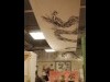 吉祥寺ロフトの和紙専門店で企画展－「龍」テーマに柏原晋平さんが描く