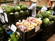 元町一番街で「水曜市」－地産地消目指し県内産野菜など発売