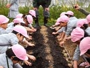 大丸神戸店屋上にジャガイモ－園児らが植え付け、6月に収穫へ