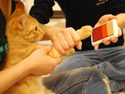神戸・元町の猫カフェで「肉球スタンプ大会」－定休日に独自イベント