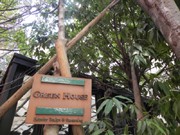 ビルの谷間に森－神戸・三宮のカフェ「グリーンハウス シルバ」が5年目に