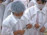 小学生向けシウマイ作り体験参加者募集-崎陽軒横浜工場で