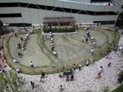 大阪都心のマンションで田植え－農業初体験の子どもたちも夢中に