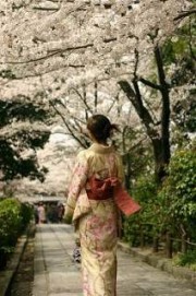大阪城・毛馬桜ノ宮公園など京橋エリアの桜スポット、開花迫る