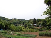 ウェブアンケートで「市街化調整区域のあり方」探る－町田市