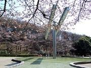 町田各所で「桜祭り」－市民・行政協働のガイドブックやウオーキング大会も