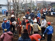 学校に「森をつくる」ボランティア養成講座－町田で開講