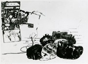 町田で銅版画家・中林忠良さんの展覧会－48年間の創作活動たどる